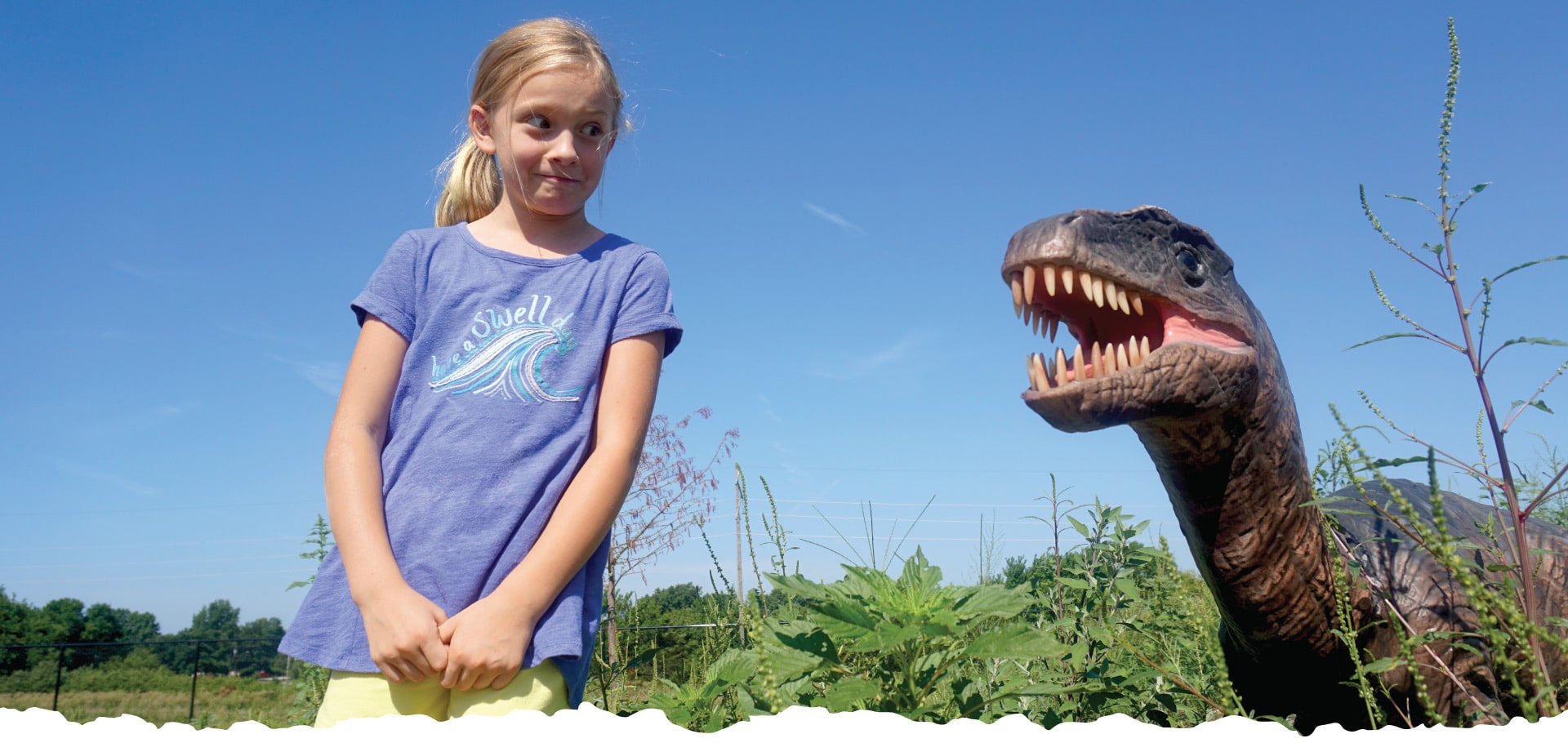 Field Station Dinosaurs A Dinosaur Adventure Park In - 