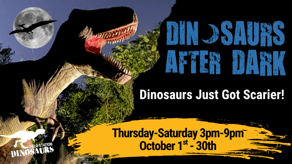 Field Trips at Field Station Dinosaurs are pure fun!